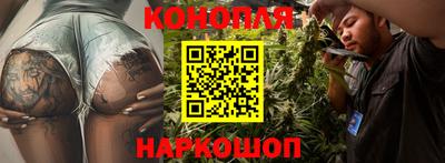 jwh Свободный
