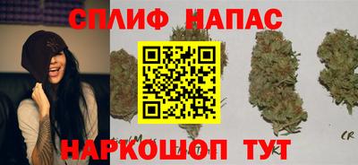 ECSTASY Севастополь