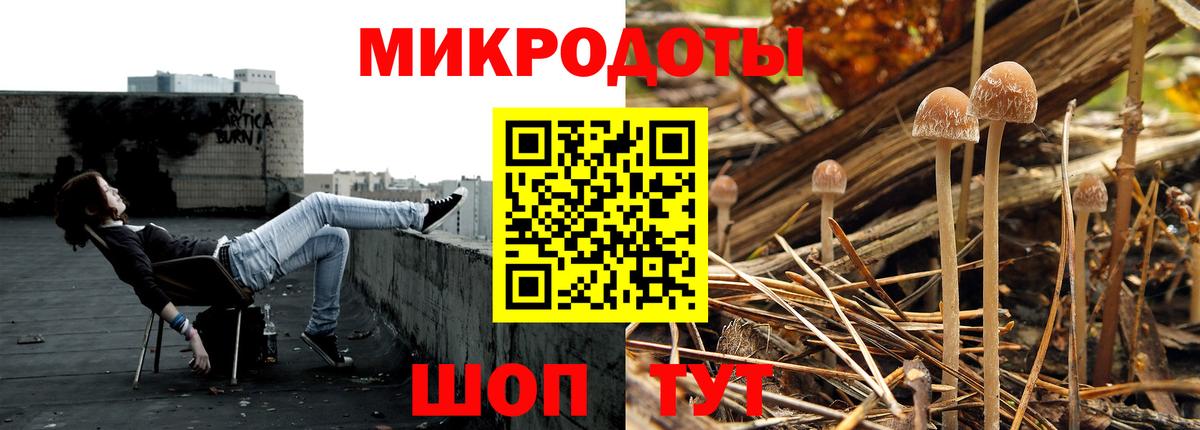 Галлюциногенные грибы Psilocybine cubensis Новодвинск